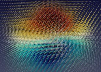 Topological polarons