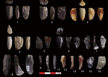 Microblade technology Artifacts found in ND3