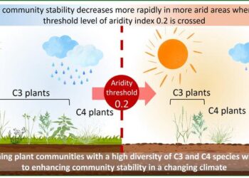 The role of biodiversity in mitigating rapid loss of plant