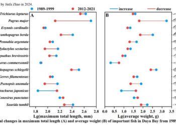 Historical changes in maximum total length(A) and average weight(B) of important fish in Daya Bay from 1989 to 2021