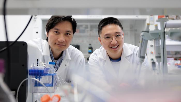 Dr. Shyh-Dar Li and Dr. Jiamin Wu