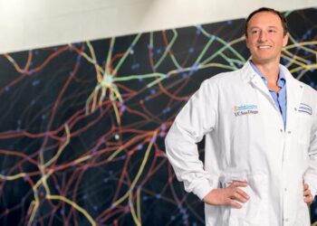 UC San Diego develops first-in-kind protocol for creating ‘wired miniature