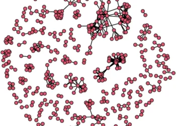 Extremists of a feather flock together? Community structures, transitivity, and patterns of homophily in the US Islamist co-offending network