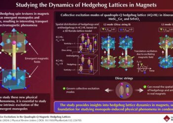 Intrinsic Excitations in Hedgehog Lattice