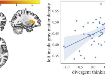 Volume of grey matter in entrepreneurs compared to managers