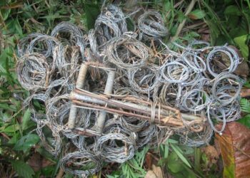 Destroyed wire snares collected at Thua Thien Hue Saola Nature Reserve