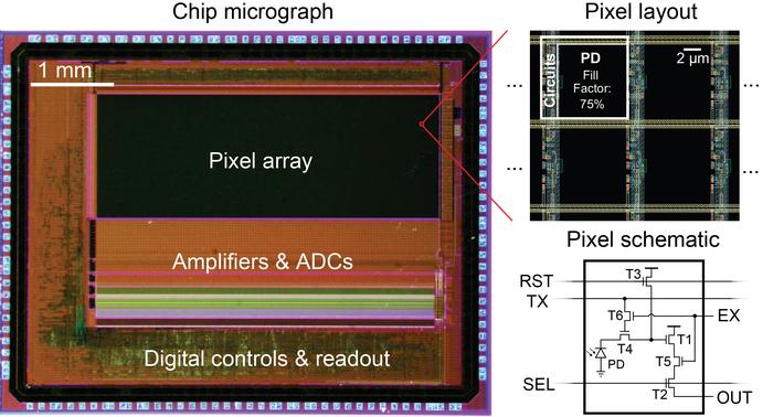 Pixelwise Camera Chip