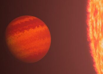 Phoenix and red giant