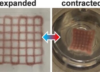 3D-printed, photoresponsive hydrogel structures