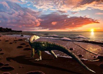 Benggwigwishingasuchus eremicarminis on the Panthalassan Ocean coast