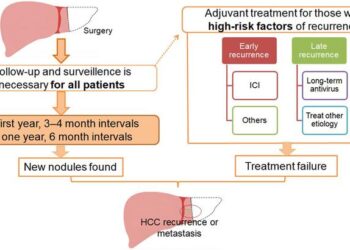 Follow-up and surveillance, recurrent modality, and adjuvant treatment strategy in patients with hepatocellular carcinoma (HCC) after curative hepatectomy or local ablation.