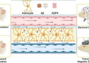 Physical methods manipulate brain ECS potentially through glymphatic system