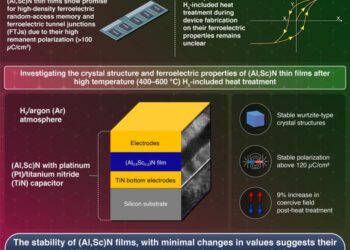 Robust Aluminum Scandium Nitride Thin Films for Next-Generation Ferroelectric Memory Devices