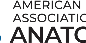 AAA Logo