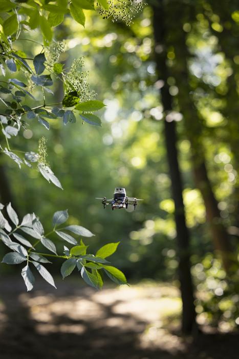 Tiny drone in a forest