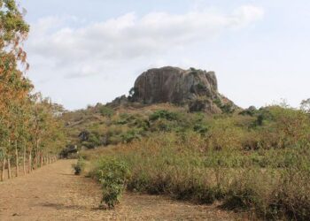 Kakapel