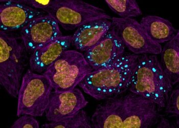 Atlas of proteins reveals inner workings of cells