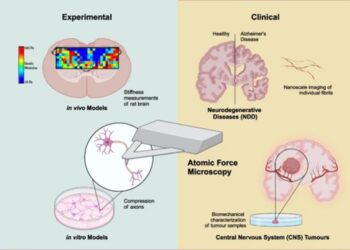 Atomic force microscopy in the characterization and clinical evaluation of neurological disorders