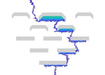 Carbon storage experiment