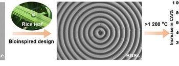 Bioinspired directional structures for inhibiting high-temperature wetting