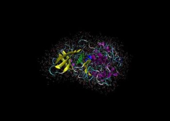 CDK2 OpenMM Setonix Simulation
