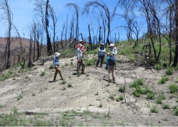 Visit to Camp Fire site post wildfire