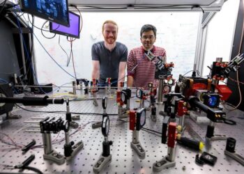 Bernien Lab