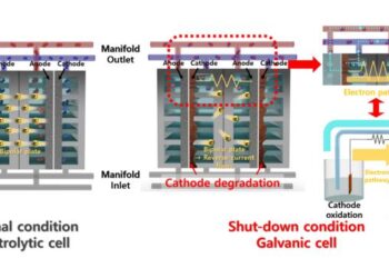 Mechanism of degradation by reverse current during shutdown of alkaline water electrolysis at nickel electrodes