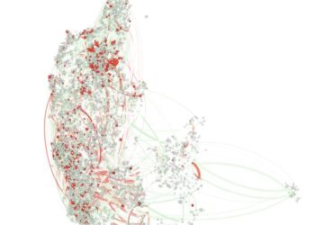 Salmonella Dublin in Danish cattle: Map of infections and trade movements