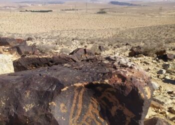 Petroglyphs