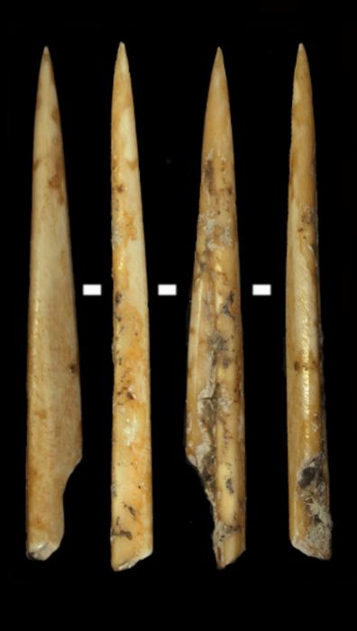 Early Pyrenean Neolithic groups applied species selection strategies to produce bone artefacts