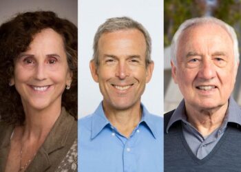 Winners of Max Cooper Prize in Immunology