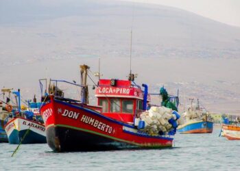 Fishing Boats