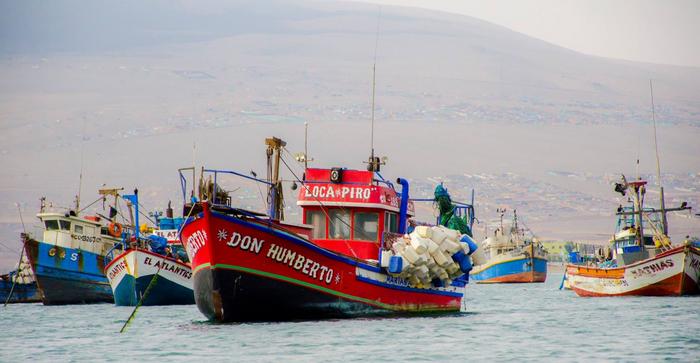 Fishing Boats