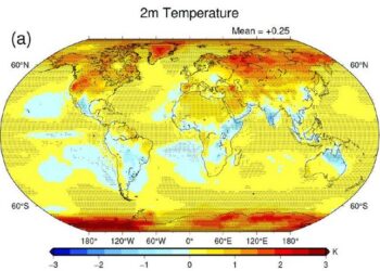 Influence of precipitating particles on global and regional energy budgets