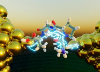 Electron transport