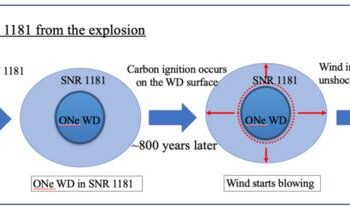 Illustration of the evolution of SNR 1181.