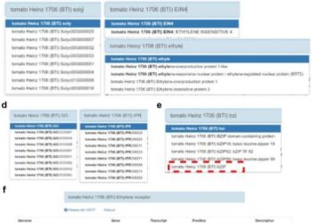Search interface and result pages in HortGenome Search Engine. a–e Screenshots of the search interfaces.