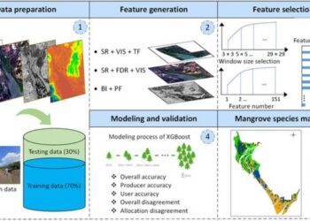 From space to swamp: innovative AI method classifies mangrove species