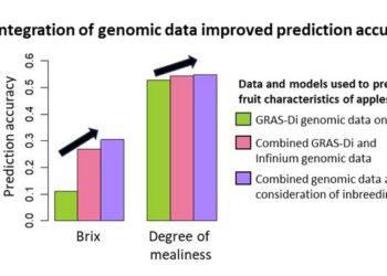 Comparison of genomic prediction accuracy using different data and models