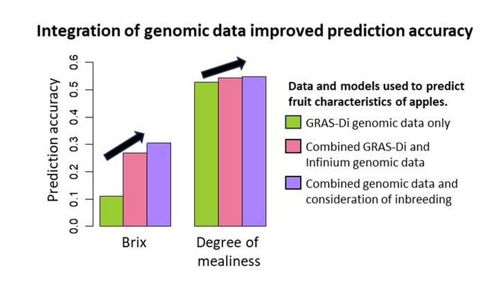 Comparison of genomic prediction accuracy using different data and models