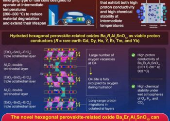 Hexagonal Perovskite-Related Oxides as Proton Conductors for Long-Lasting and Durable Fuel Cells