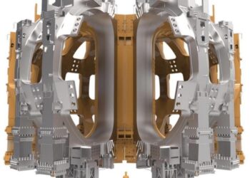 Toroidal field coils and the tokamak vacuum vessel