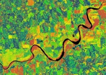 The Landscape of Mississippi Delta Region from LiDAR derived Canopy Height Model