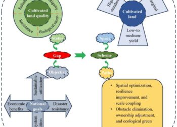 Graphical abstract