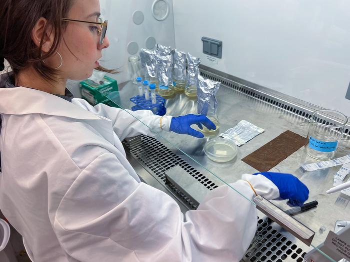 Vitória Leme working in a laboratory setting.