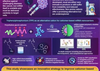 Novel Polymer-Based Nanocarriers for Messenger RNA (mRNA)-Based Therapies