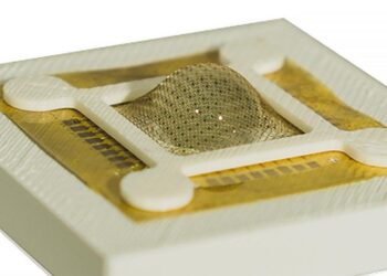 Mantis eyes prototype