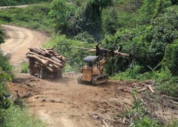 Logging