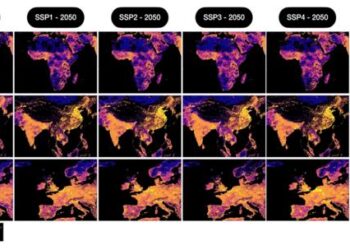 Global rooftop area layer results for different regions